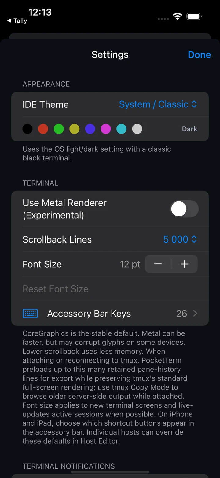 PocketTerm settings screen showing terminal themes, scrollback, font size, and accessory keys
